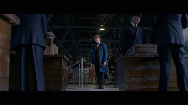 Fantastic Beasts and Where to Find Them (2016) movie photo - id 383915