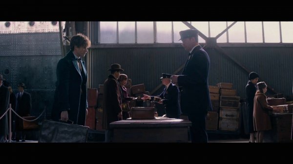 Fantastic Beasts and Where to Find Them (2016) movie photo - id 383916