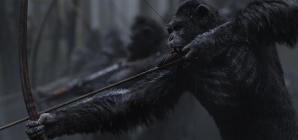 War for the Planet of the Apes (2017) movie photo - id 397982