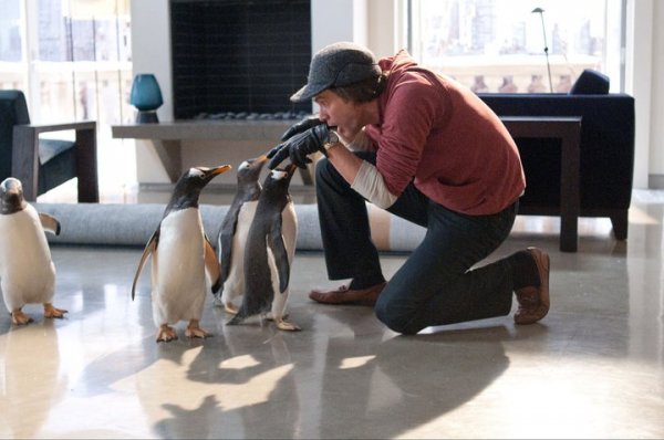 Mr. Popper's Penguins (2011) movie photo - id 42769