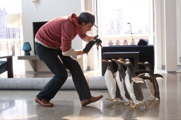 Mr. Popper's Penguins (2011) movie photo - id 42772