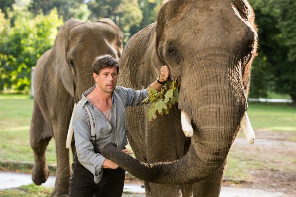 The Zookeeper's Wife (2017) movie photo - id 428921