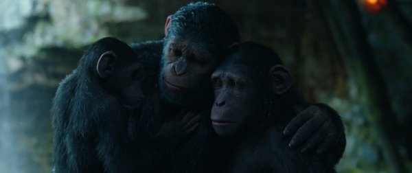 War for the Planet of the Apes (2017) movie photo - id 432044