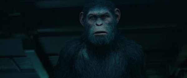 War for the Planet of the Apes (2017) movie photo - id 432045