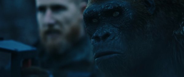 War for the Planet of the Apes (2017) movie photo - id 432046