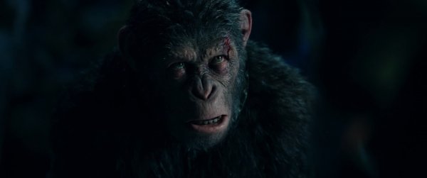 War for the Planet of the Apes (2017) movie photo - id 432047