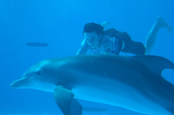 Dolphin Tale (2011) movie photo - id 44280