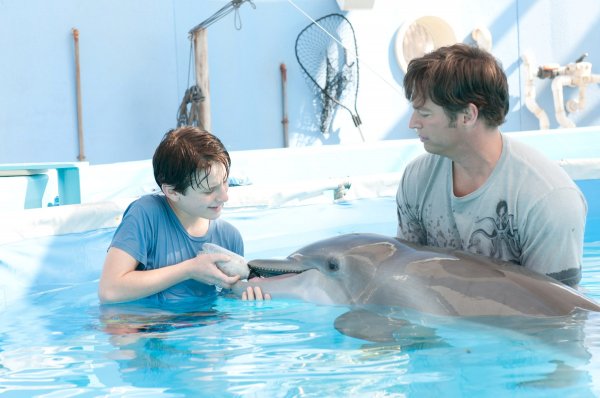 Dolphin Tale (2011) movie photo - id 44285
