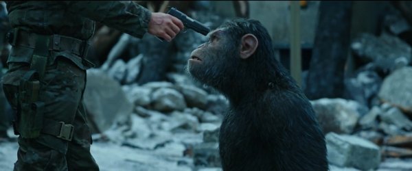 War for the Planet of the Apes (2017) movie photo - id 445957