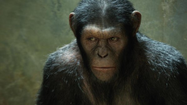 Rise of the Planet of the Apes (2011) movie photo - id 45576