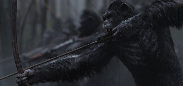 War for the Planet of the Apes (2017) movie photo - id 456114