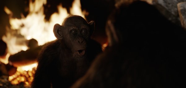War for the Planet of the Apes (2017) movie photo - id 456117