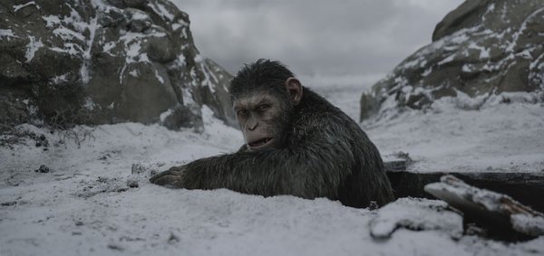War for the Planet of the Apes (2017) movie photo - id 456119
