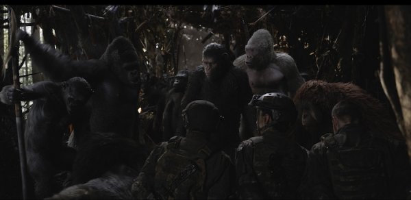 War for the Planet of the Apes (2017) movie photo - id 456120