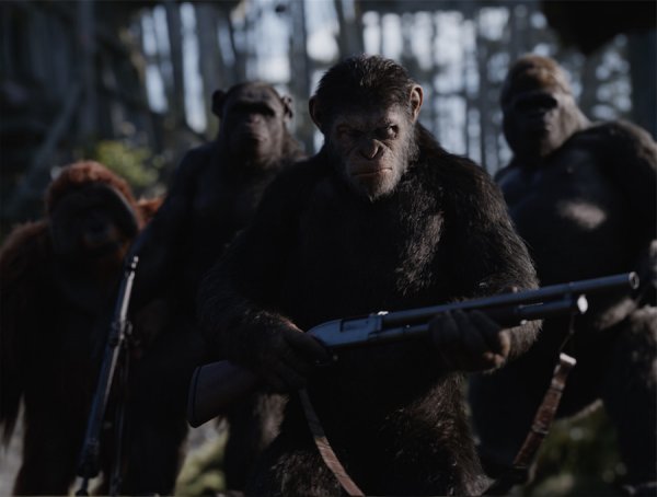 War for the Planet of the Apes (2017) movie photo - id 456121