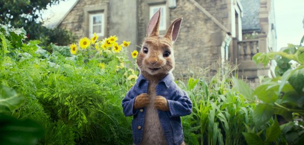 Peter Rabbit (2018) movie photo - id 485455