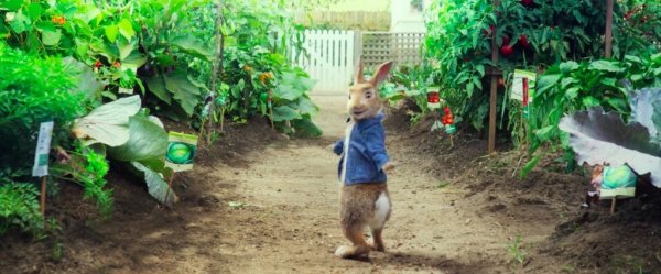 Peter Rabbit (2018) movie photo - id 485525