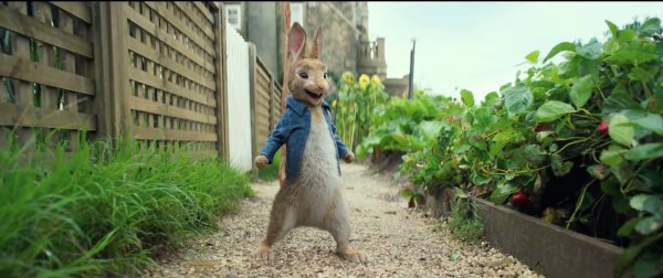 Peter Rabbit (2018) movie photo - id 486557