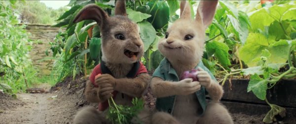 Peter Rabbit (2018) movie photo - id 486558