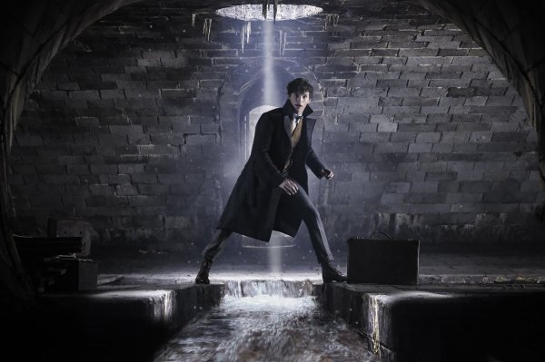 Fantastic Beasts: The Crimes of Grindelwald (2018) movie photo - id 486994