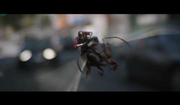 Ant-Man and the Wasp (2018) movie photo - id 487352