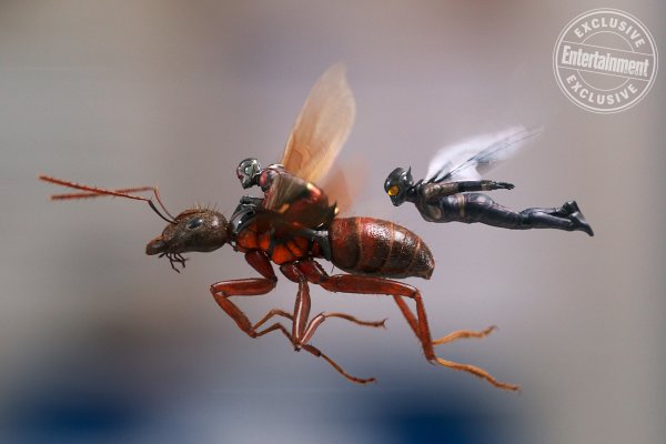 Ant-Man and the Wasp (2018) movie photo - id 489162