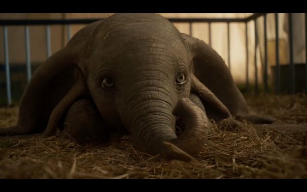 Dumbo (2019) movie photo - id 498324
