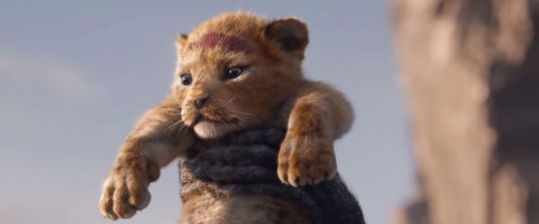The Lion King (2019) movie photo - id 499084