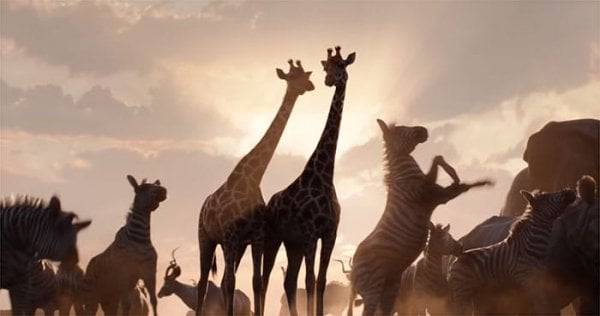 The Lion King (2019) movie photo - id 499089