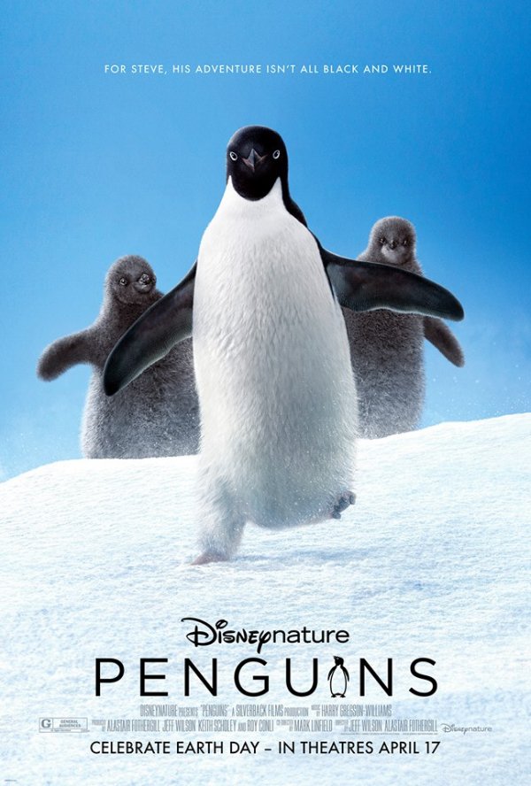 Penguins (2019) movie photo - id 501713