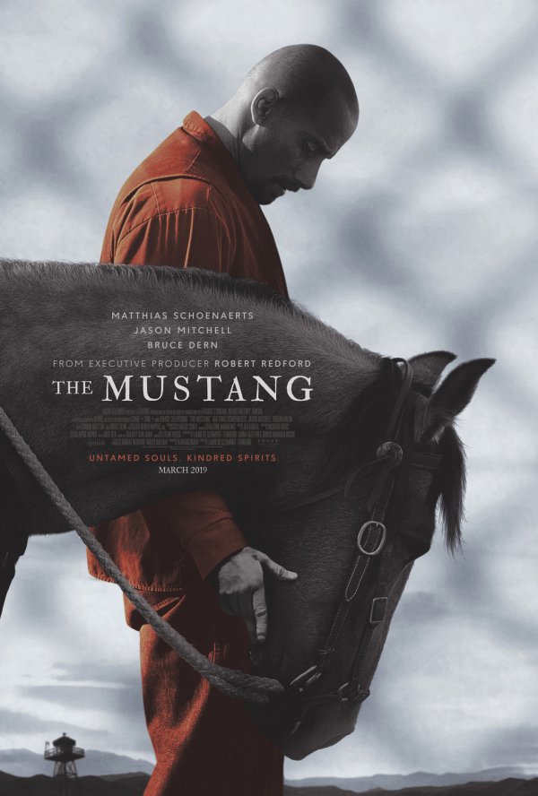 The Mustang (2019) movie photo - id 502749
