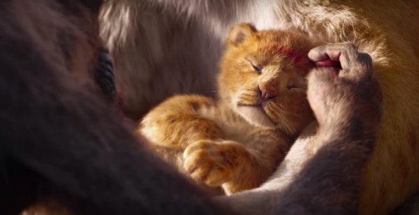 The Lion King (2019) movie photo - id 503628