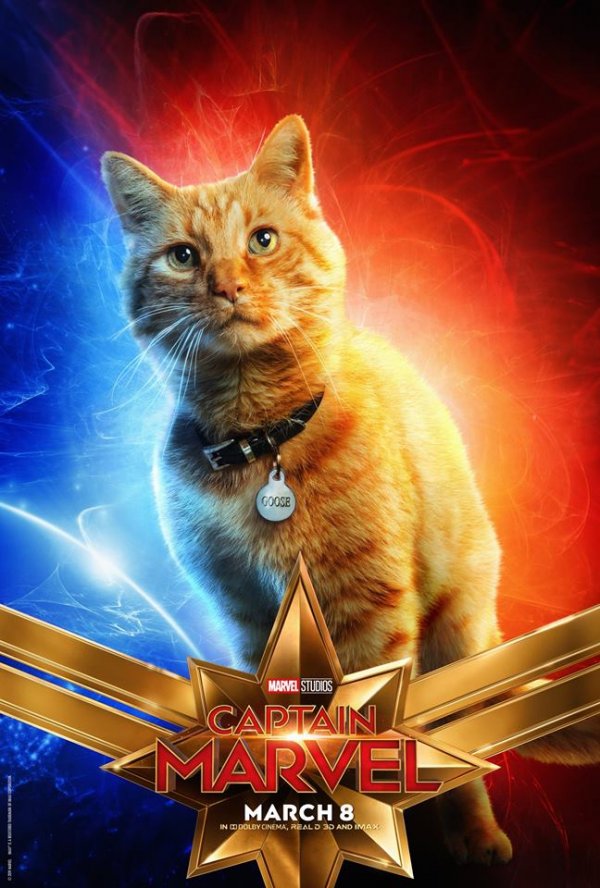 Captain Marvel (2019) movie photo - id 504222