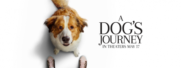 A Dog's Journey (2019) movie photo - id 505254