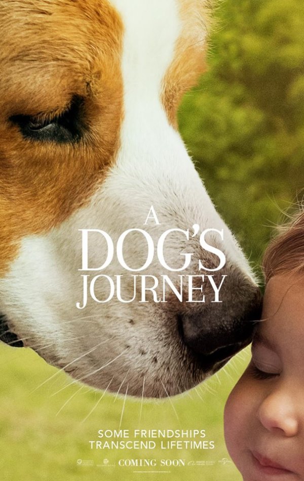 A Dog's Journey (2019) movie photo - id 513167