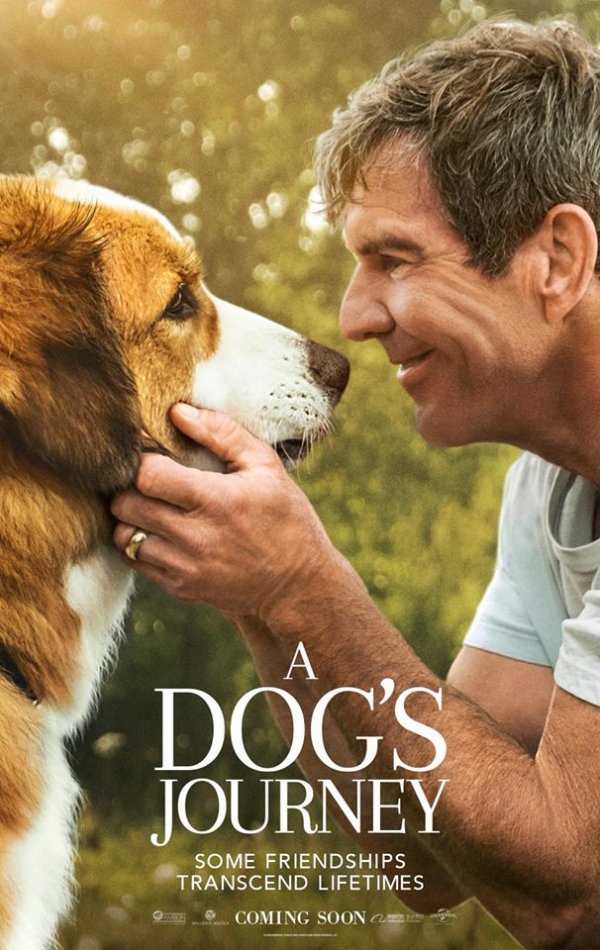 A Dog's Journey (2019) movie photo - id 513168