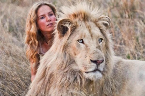Mia and the White Lion (2019) movie photo - id 513702