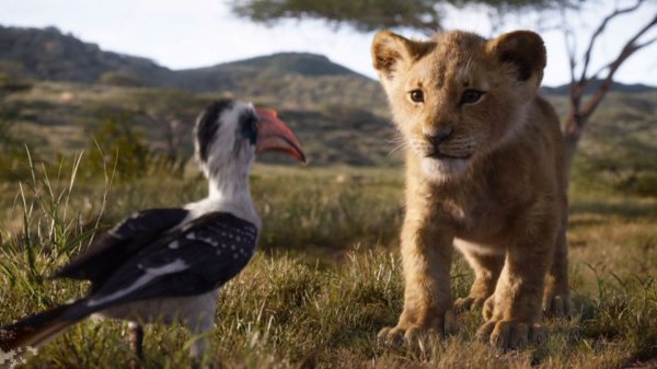 The Lion King (2019) movie photo - id 525909