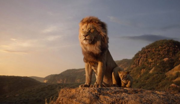 The Lion King (2019) movie photo - id 525910