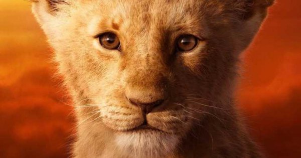 The Lion King (2019) movie photo - id 525911