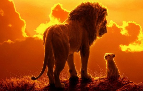 The Lion King (2019) movie photo - id 525912