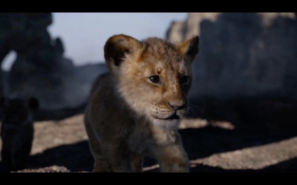The Lion King (2019) movie photo - id 526276