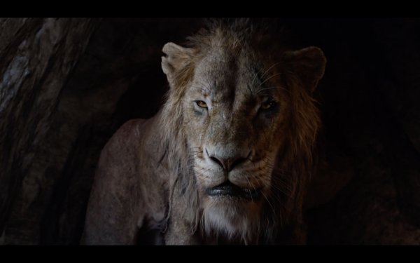 The Lion King (2019) movie photo - id 526277