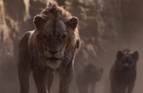 The Lion King (2019) movie photo - id 527309