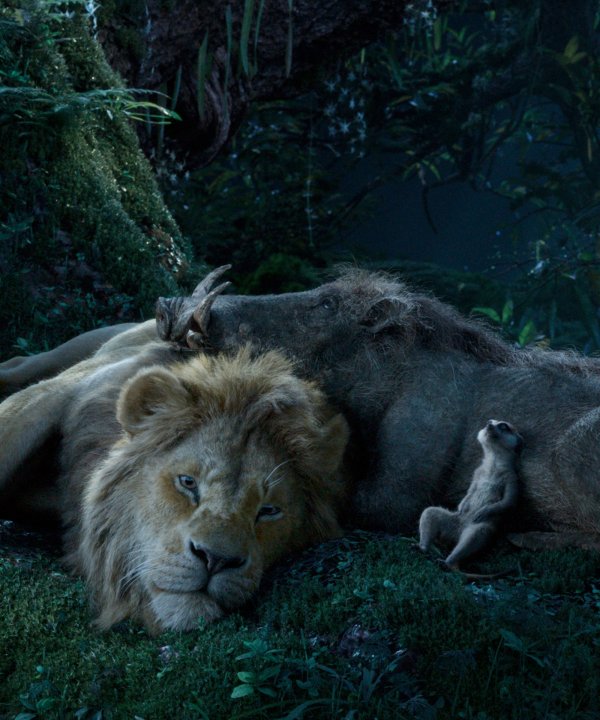The Lion King (2019) movie photo - id 527310