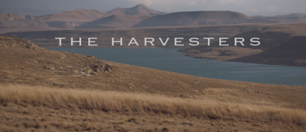 The Harvesters (2019) movie photo - id 537534