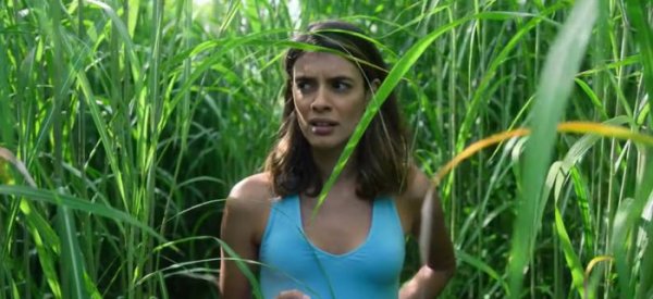 In The Tall Grass (2019) movie photo - id 540112