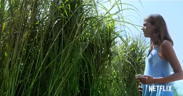 In The Tall Grass (2019) movie photo - id 540120