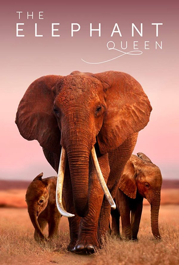 The Elephant Queen (2019) movie photo - id 541349