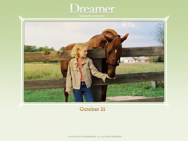 Dreamer: Inspired by a True Story (2005) movie photo - id 5458